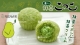 BÁNH CUSTART COCCO NHẬT BẢN VỊ MATCHA