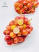 Nho Queen Nhật Bản