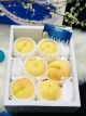Đào Tuyết Okayama